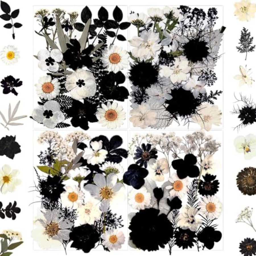 Baby Breath Dried - 90Pcs Black Pressed Dried Flowers for