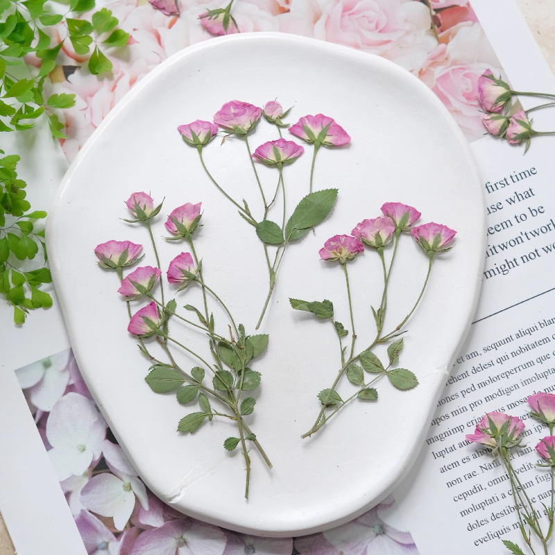12pcs,Mini Pink Rose Pressed F - Baby Breath Dried บทวิจารณ์และราคา