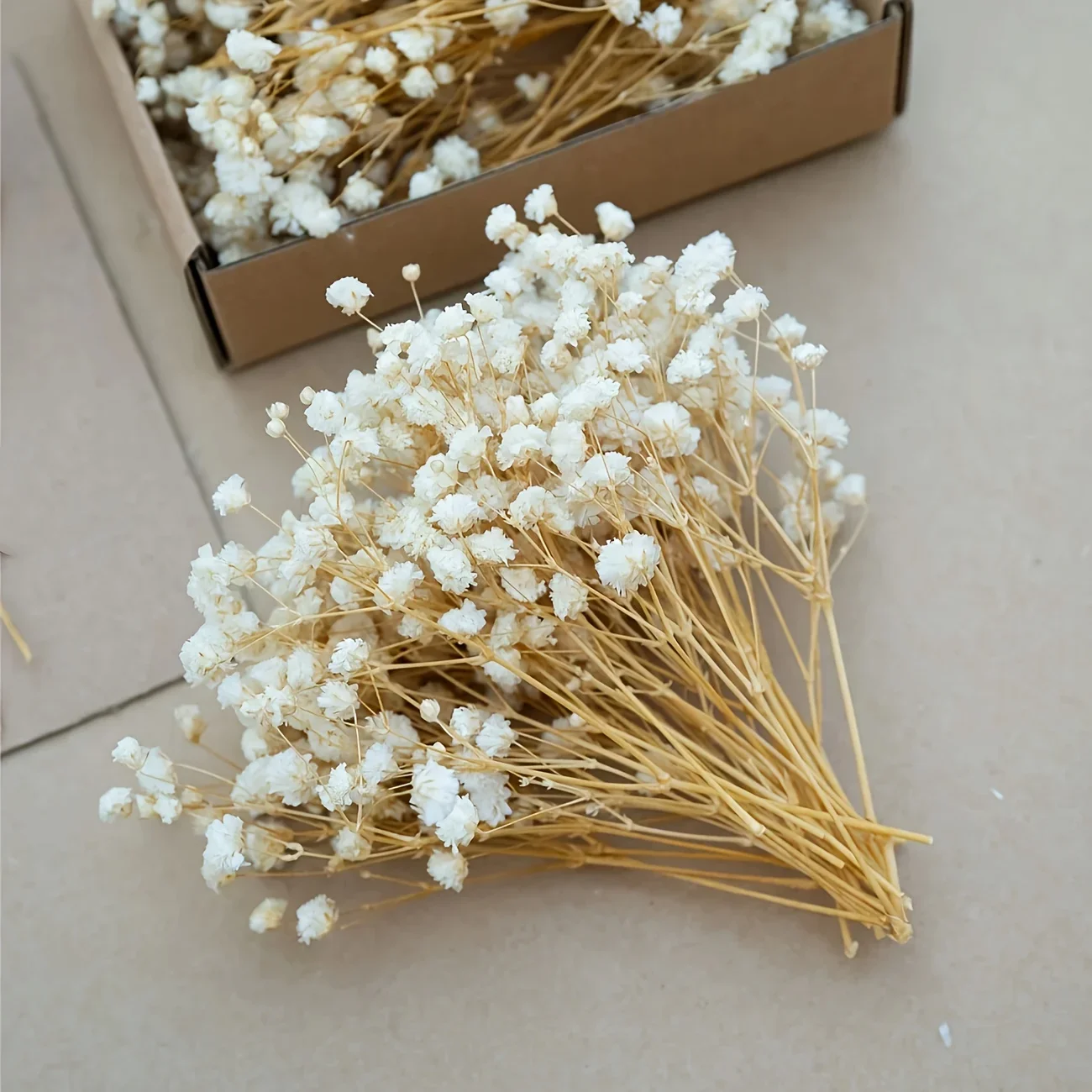 50pcs Mini Dried Baby's Breath - Baby Breath Dried บทวิจารณ์และราคา