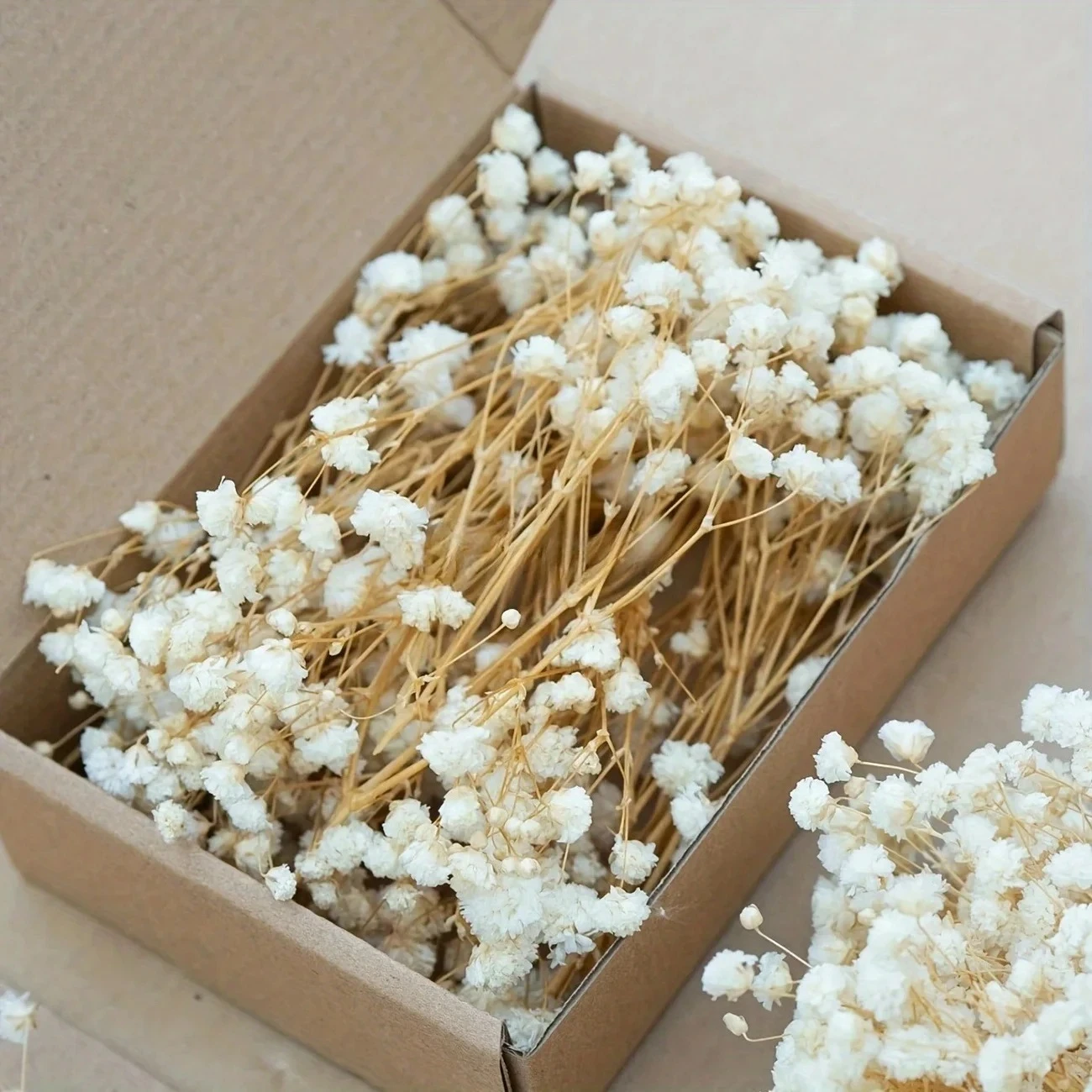 50pcs Mini Dried Baby's Breath - Baby Breath Dried บทวิจารณ์และราคา