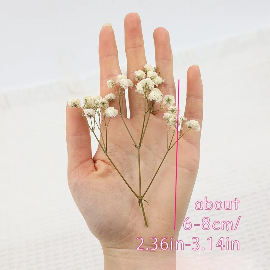 50pcs Mini Dried Baby's Breath - Baby Breath Dried บทวิจารณ์และราคา