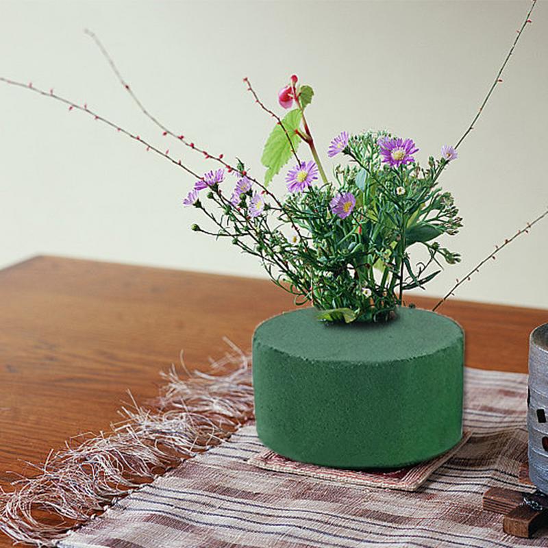 6Pcs Round Floral Foam Bricks  - The Florist Supply บทวิจารณ์และราคา