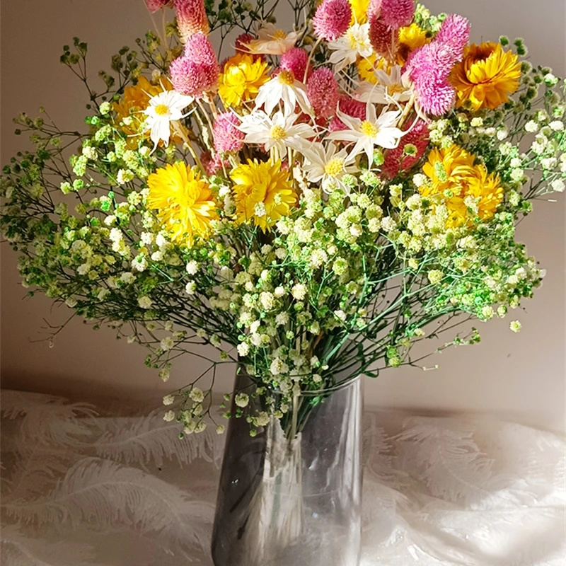 Natural Dried Flower Gypsophil - Baby Breath Dried บทวิจารณ์และราคา