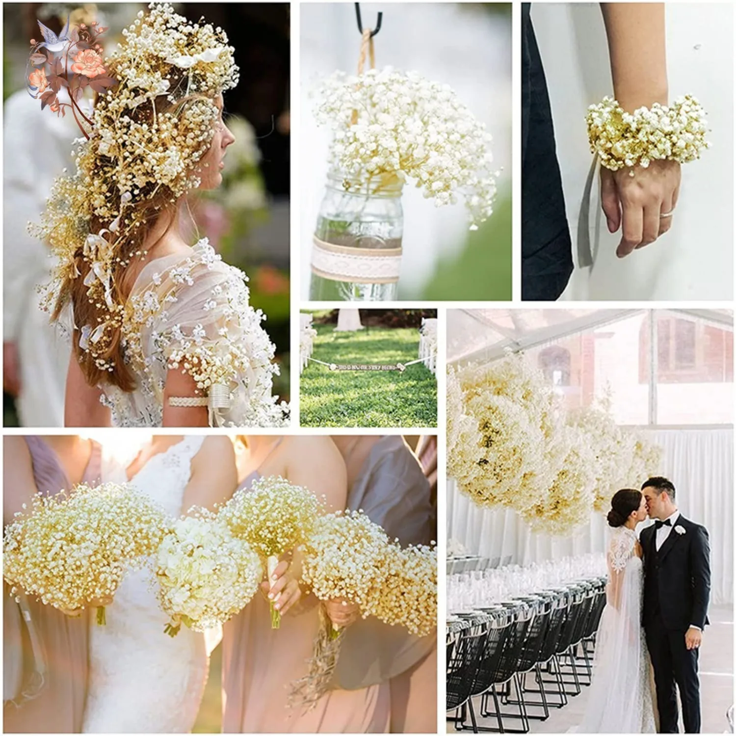 Real Baby Breath Dried Flowers - Baby Breath Dried บทวิจารณ์และราคา