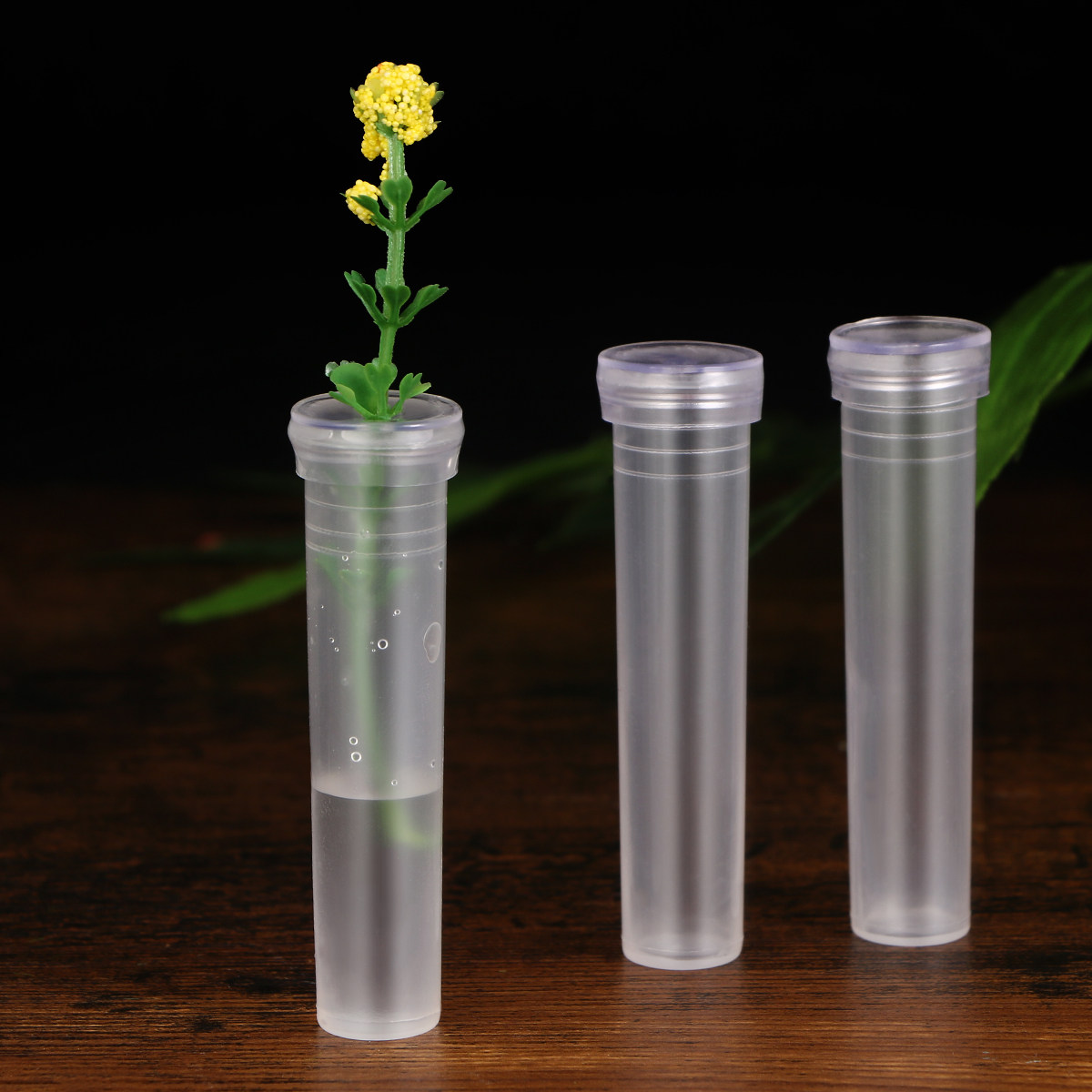50Pcs Nutrition Flower Tubes P - The Florist Supply บทวิจารณ์และราคา