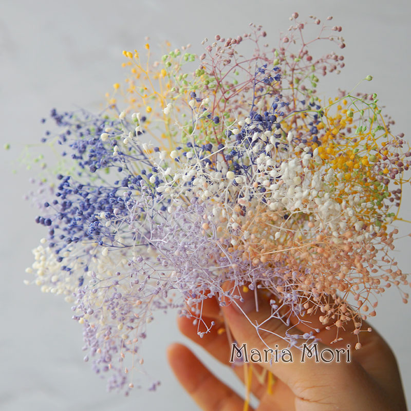 5g/Mini Baby Breath Dried Pres - Baby Breath Dried บทวิจารณ์และราคา