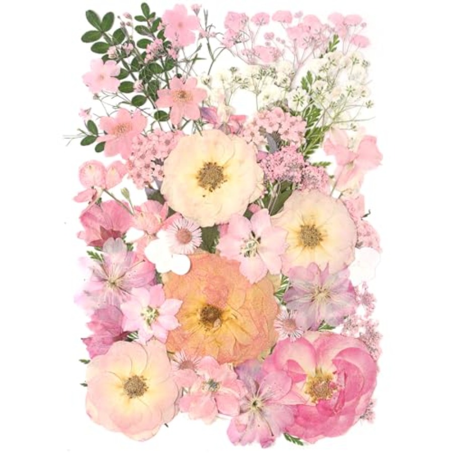 14 Types Pink Dried Pressed Fl - Baby Breath Dried บทวิจารณ์และราคา