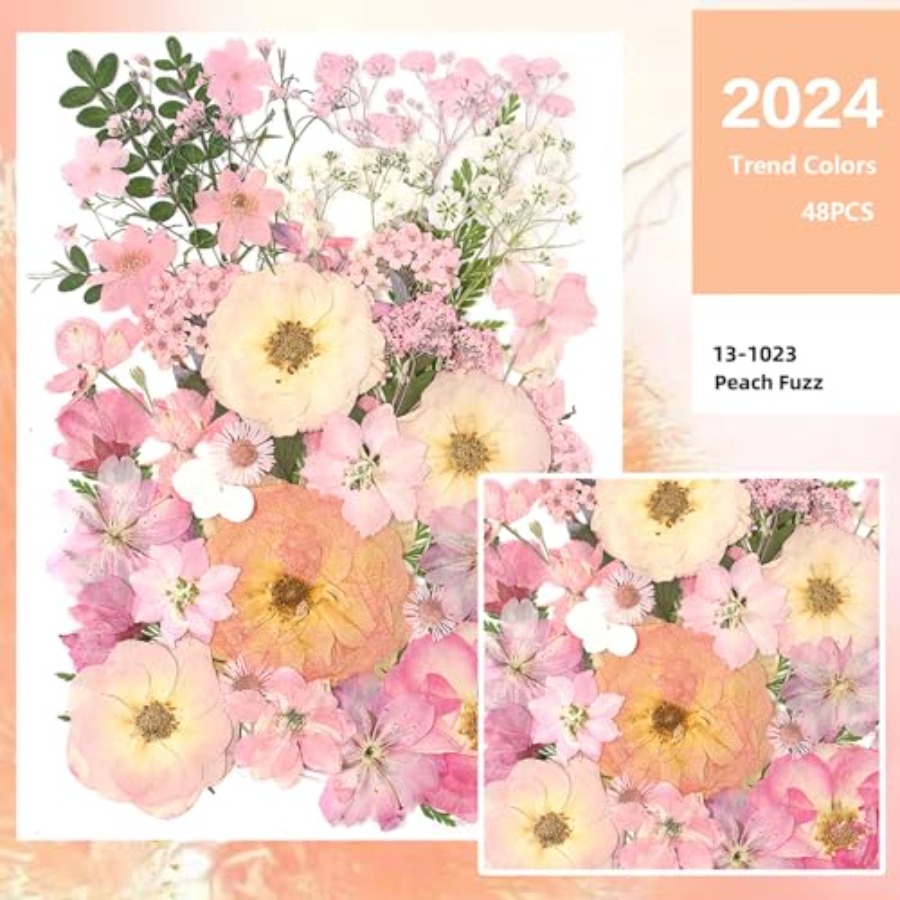 14 Types Pink Dried Pressed Fl - Baby Breath Dried บทวิจารณ์และราคา