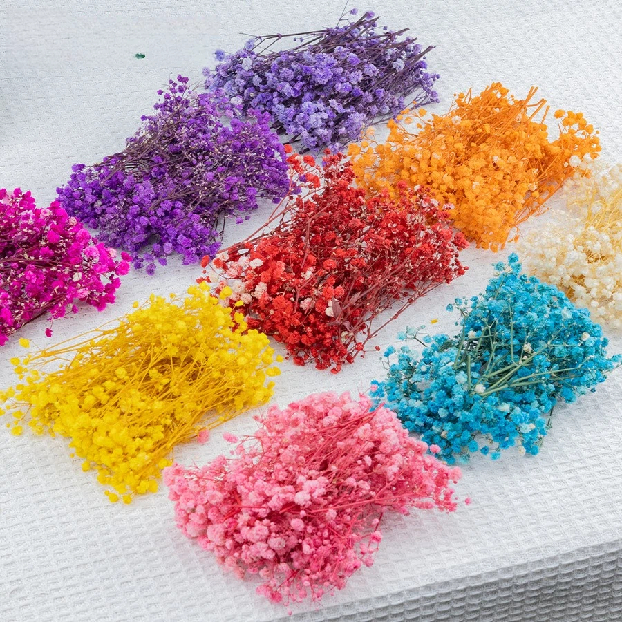 50pcs Mini Dried Baby's Breath - Baby Breath Dried บทวิจารณ์และราคา