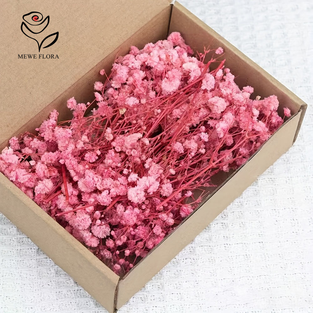 100 Small Branch Dried Baby's  - Baby Breath Dried บทวิจารณ์และราคา