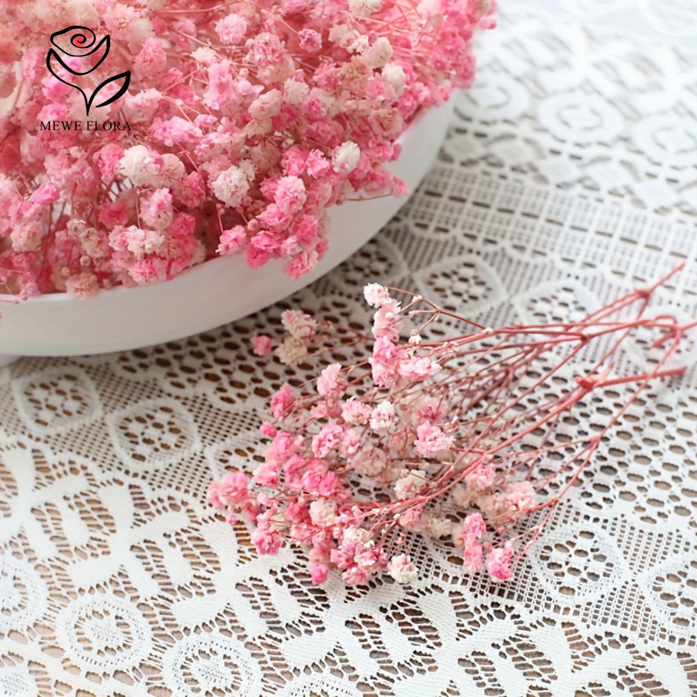 100 Small Branch Dried Baby's  - Baby Breath Dried บทวิจารณ์และราคา
