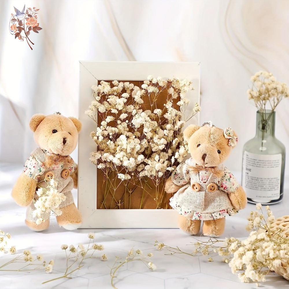 100pcs Mini Dried Baby's Breat - Baby Breath Dried บทวิจารณ์และราคา